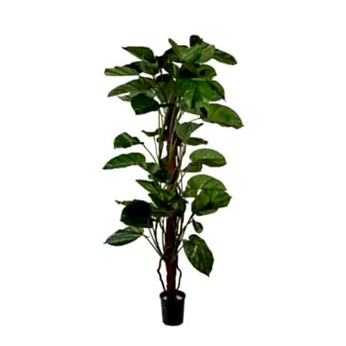 Yapay Pathos Ağaç 150 Cm