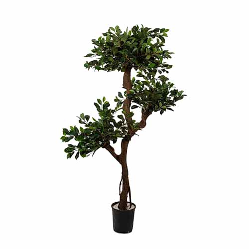 Yapay Ficus Retusa 120 Cm