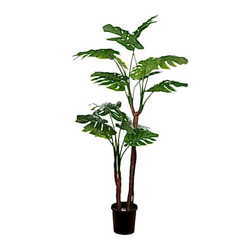 Yapay Monstera Ağaç 160 Cm