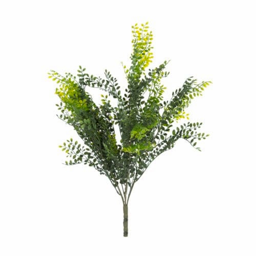 Japanese Pepper Bush