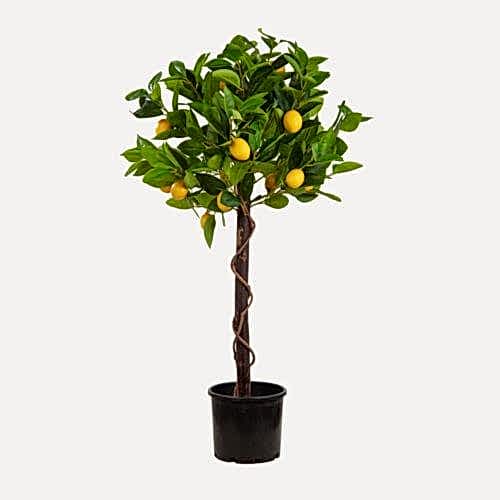 Yapay Limon Ağaç 90 CM