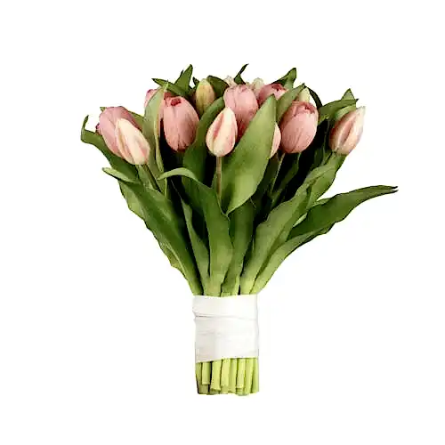 Islak Dokulu Tomurcuk Lale Pembe Gelin Buketi