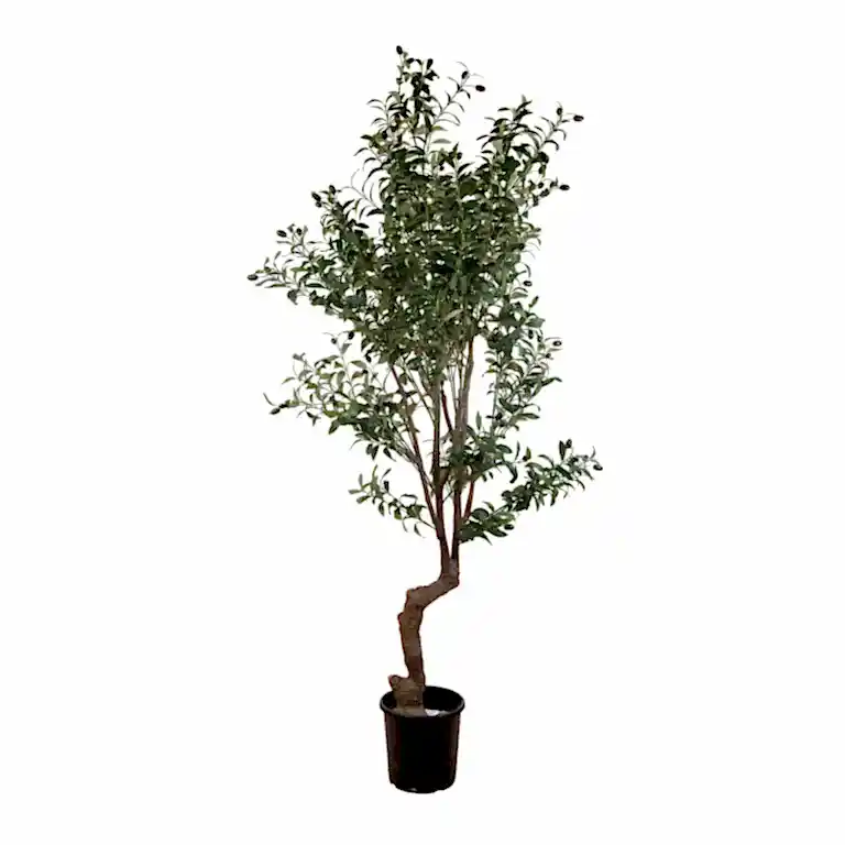Yapay Zeytin Ağaçları