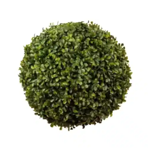 Boxwood Ball (38cm)