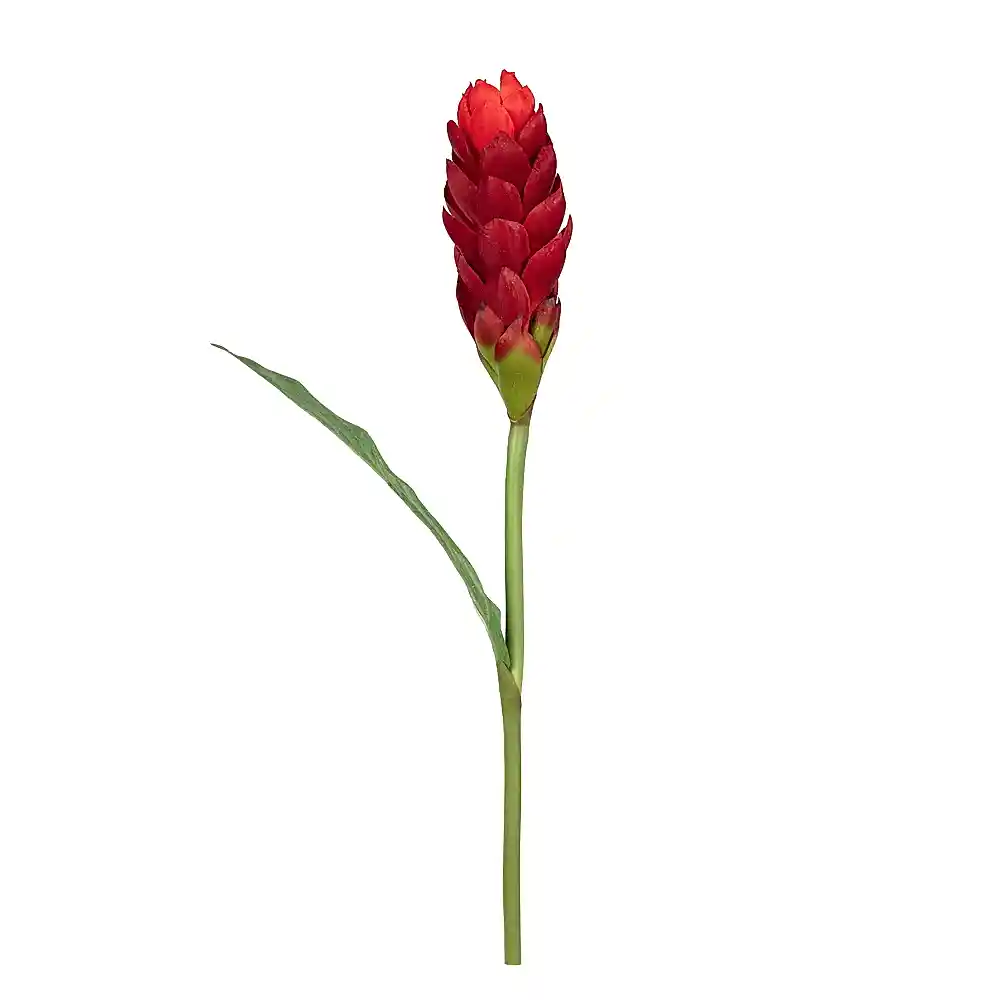 Yapay Tropik Çiçekler