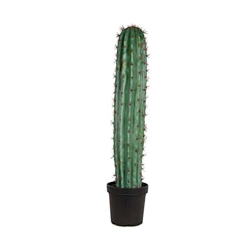 Column Cactus 84 CM
