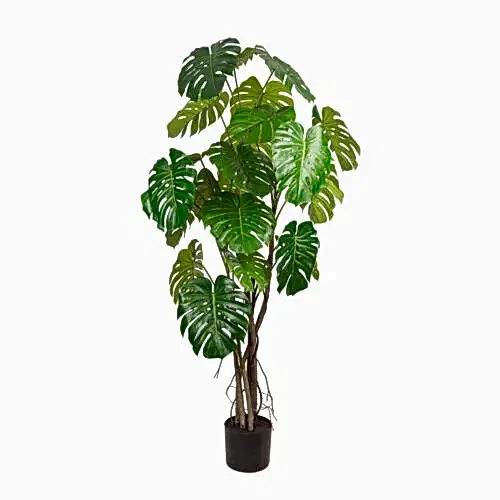Split Philo Tree 190 CM