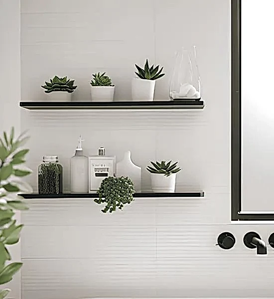 Dekorasyonda Sukulent Kullanımı Önerileri