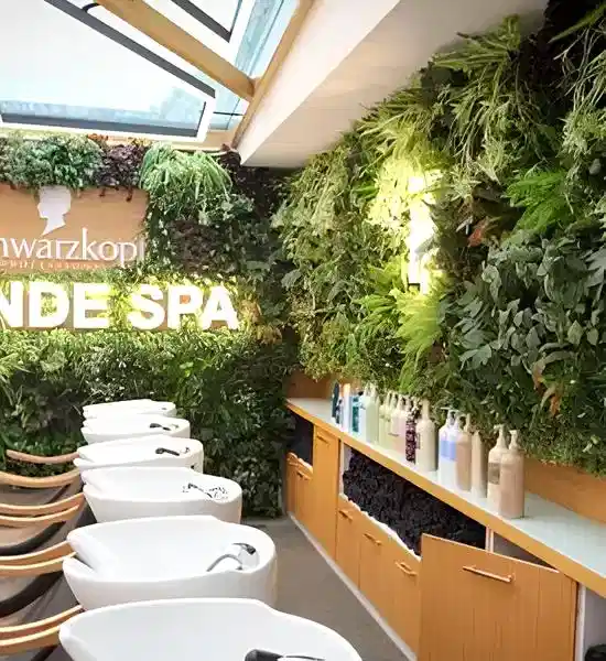 Dekorasyonda Sukulent Kullanımı Önerileri