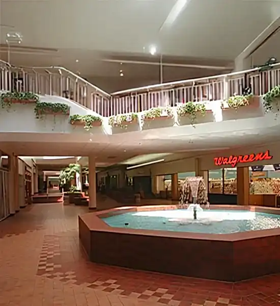 Dekorasyonda Sukulent Kullanımı Önerileri