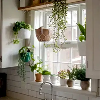 Dekorasyonda Sukulent Kullanımı Önerileri