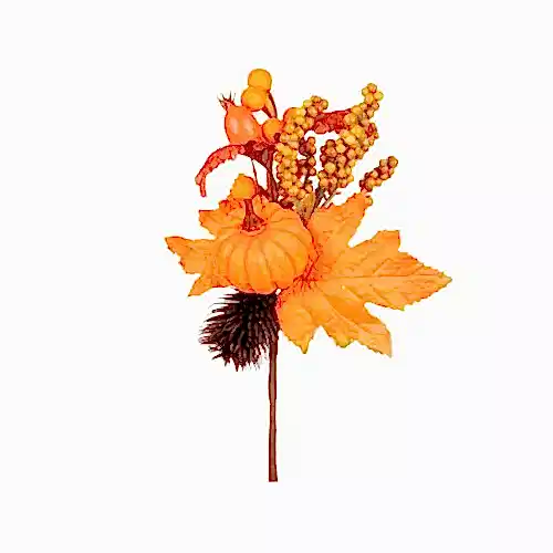 Pumpkin Pick (24 CM)