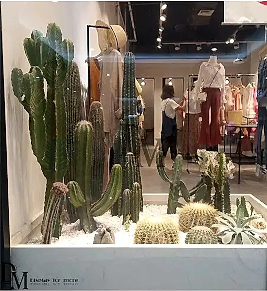 Dekorasyonda Kaktüs Kullanımı
