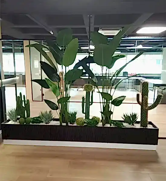 Dekorasyonda Kaktüs Kullanımı