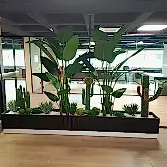 Dekorasyonda Kaktüs Kullanımı