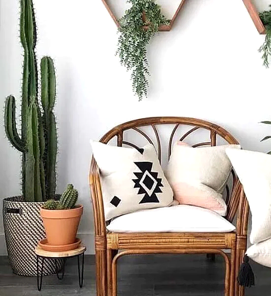 Dekorasyonda Kaktüs Kullanımı