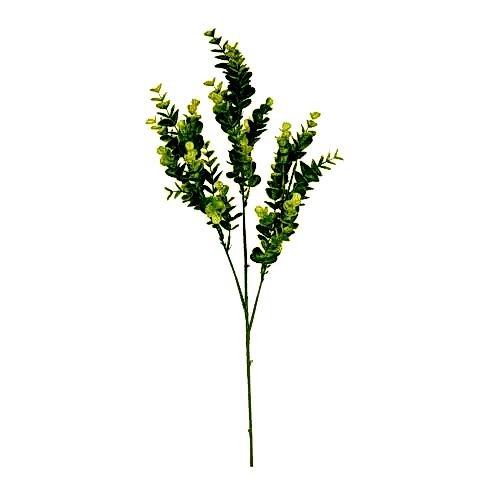 Okaliptüs Dal (65 CM)