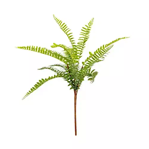 Fern Bush (43 CM)