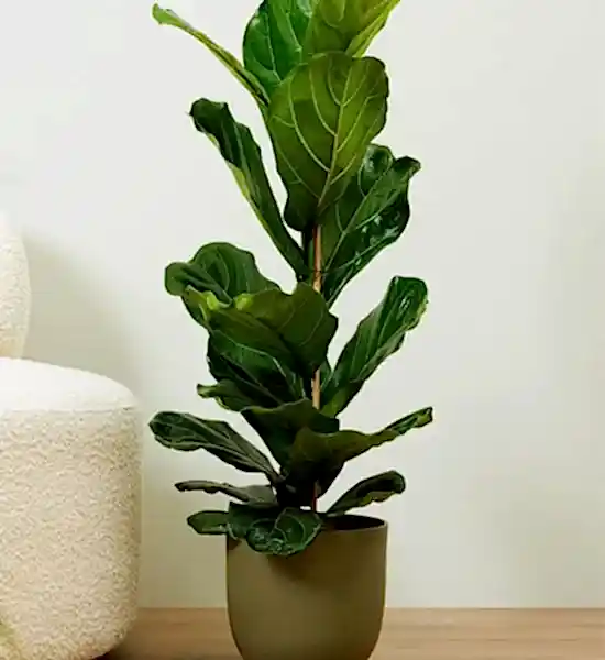 İskandinav Tarzı Dekorasyon Fikirleri