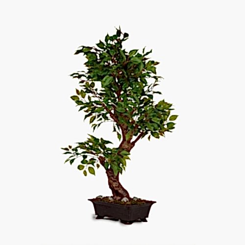 Yapay Saksılı Ficus Bonsai Ağaç (85 CM)