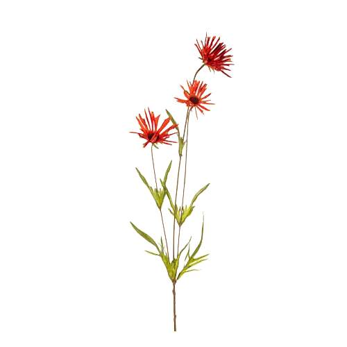 Yapay Ekinezya Papatyası (66 CM)