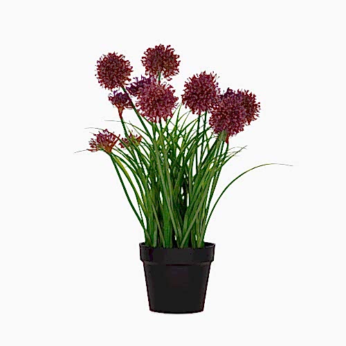 Yapay Saksılı Allium (72 CM)