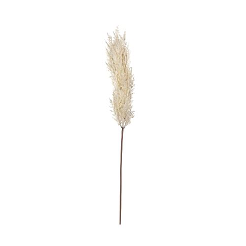 Yapay Pampas (86 CM)
