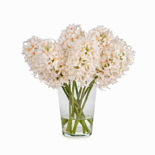 Jelli Beyaz Sümbül Aranjman (38 CM)