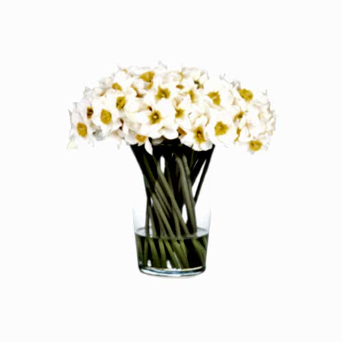 Jelli Nergis Aranjman (30 CM)