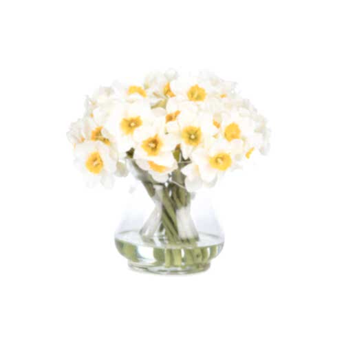 Jelli Nergis Aranjman (20 CM)