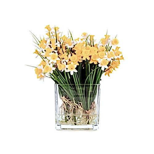 Islak Dokulu Nergis Aranjman (30 CM)