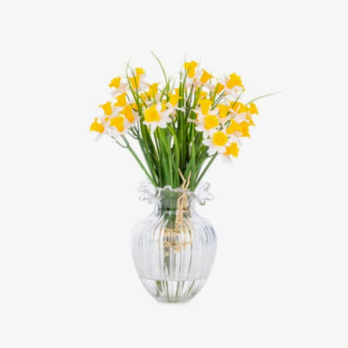 Mini Jelli Beyaz Nergis Aranjman (13 CM)