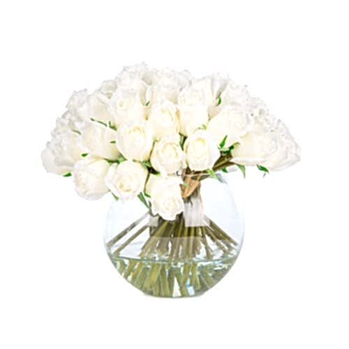 Jelli Islak Dokulu Beyaz Gonca Gül Aranjman (26 CM)