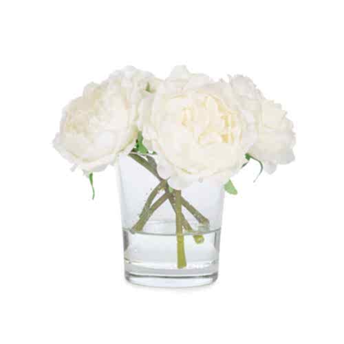 Jelli Islak Dokulu Krem Şakayık Aranjman (18 CM)