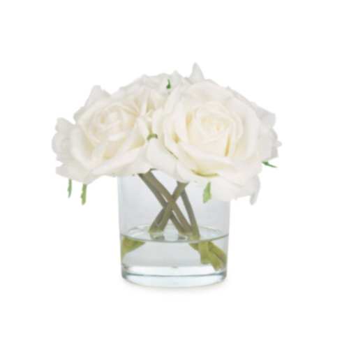 Jelli Islak Dokulu Krem Gül Aranjman (18 CM)