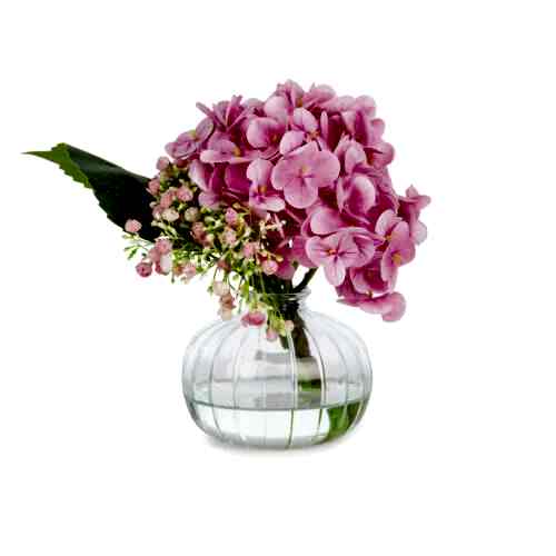 Jelli Islak Dokulu Pembe Ortanca Aranjman (20 CM)