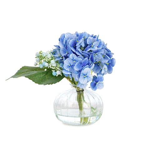 Jelli Islak Dokulu Mavi Ortanca Aranjman (20 CM)