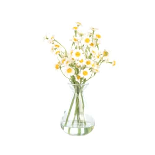 Mini Jelli Kır Papatya Aranjman (20 CM)