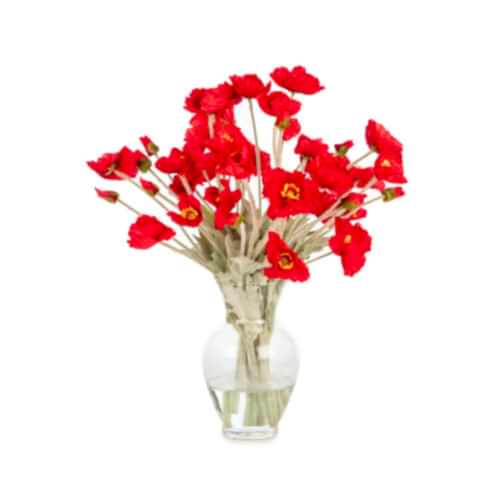 Jelli Cam Vazoda Kırmızı Gelincik Aranjman (40 CM)