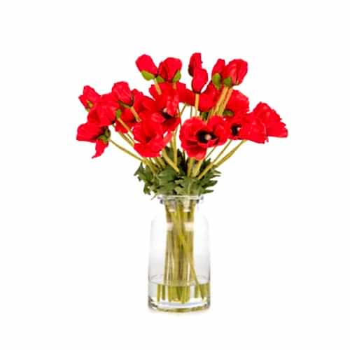 Jelli Cam Vazoda Kırmızı Gelincik Aranjman (50 CM)