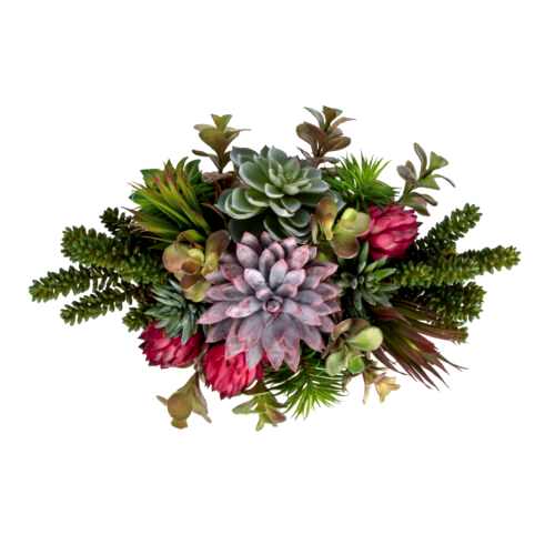 Metal Tabakta Karışık Sukkulent Aranjman (16 CM)