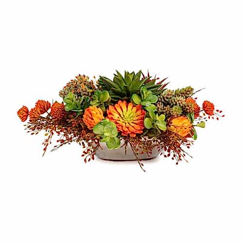 Metal Tabakta Karışık Sukkulent Aranjman (16 CM)