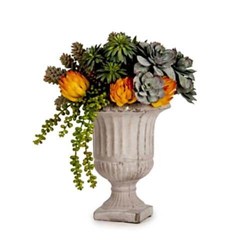 Beton Kupada Karışık Sukkulent Aranjman (30 CM)