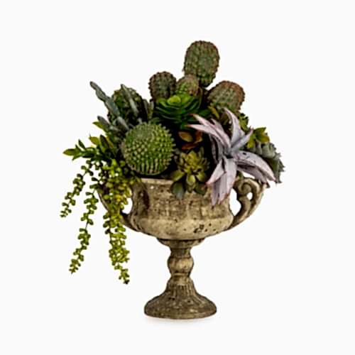 Vintage Beton Kupada Karışık Sukkulent Aranjman (40 CM)