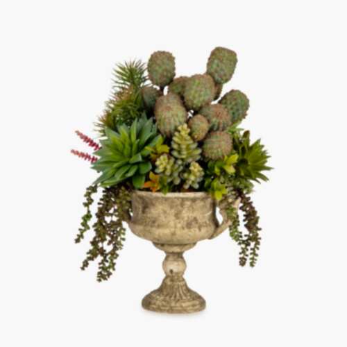 Vintage Beton Kupada Karışık Sukkulent Aranjman (50 CM)