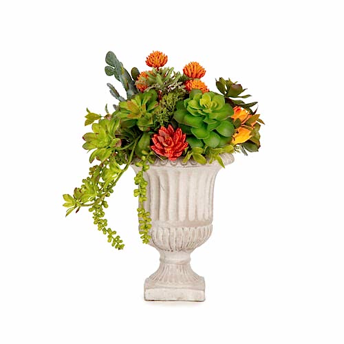 Beton Kupada Karışık Sukkulent Aranjman (35 CM)