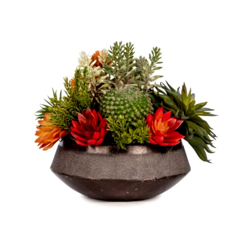 Metal Tabak Karışık Sukkulent Aranjman (22 CM)