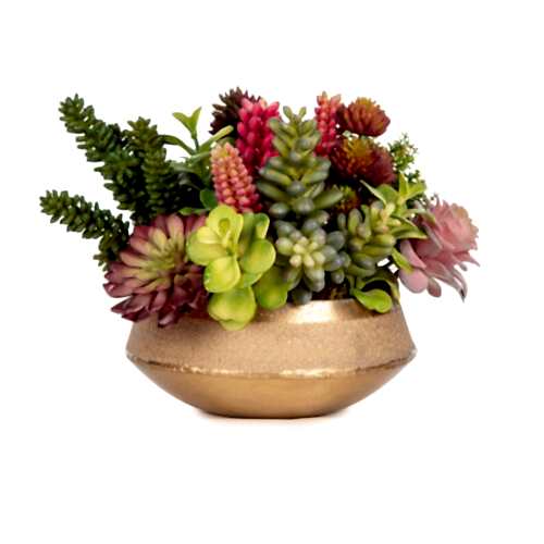 Metal Tabak Karışık Sukkulent Aranjman (24 CM)