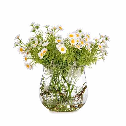 Jelli Cam Çanta Papatya Aranjman (34 CM)