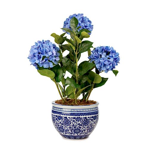 Bleu Blanc Islak Dokulu Mavi Ortanca Aranjman (65 CM)